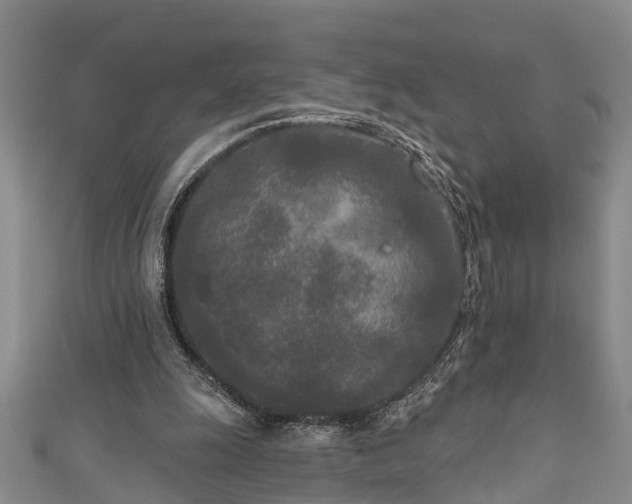 X0000111170247200907081220