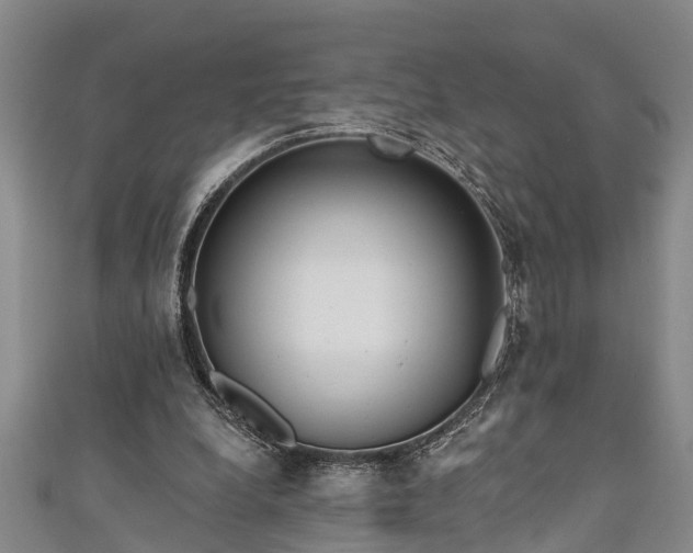 X0000111170248200907081220