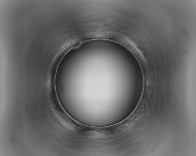 X0000111170250200907081220