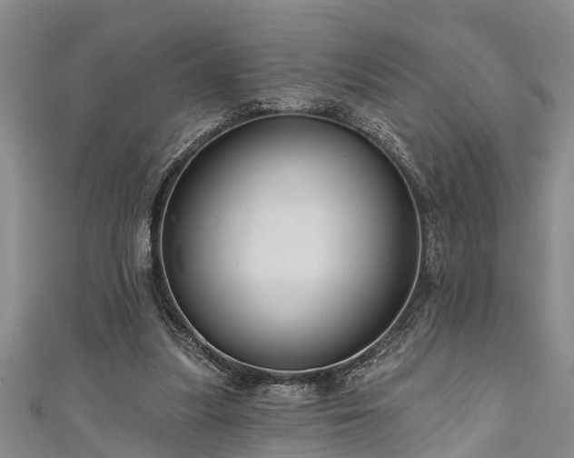 X0000111170251200907081220