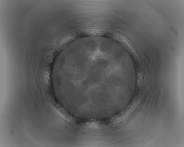 X0000111170259200907081221