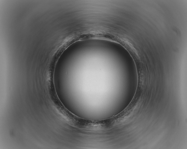 X0000111170260200907081221