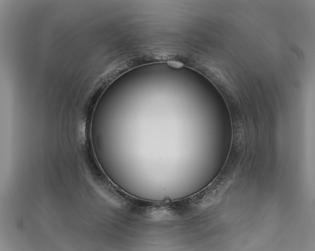 X0000111170262200907081221