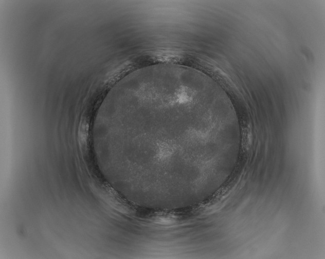 X0000111170263200907081221