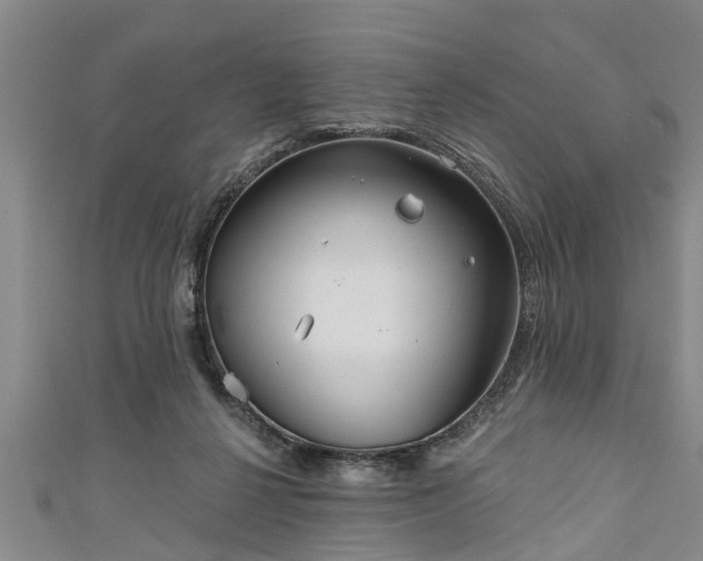 X0000111170264200907081221