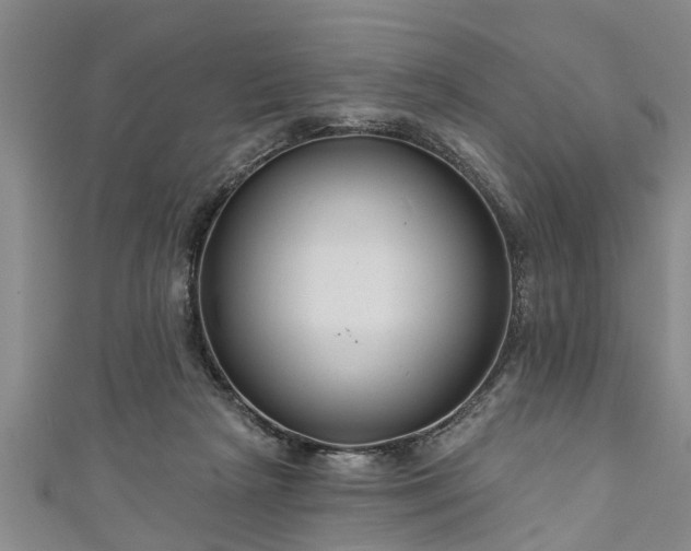 X0000111170265200907081221