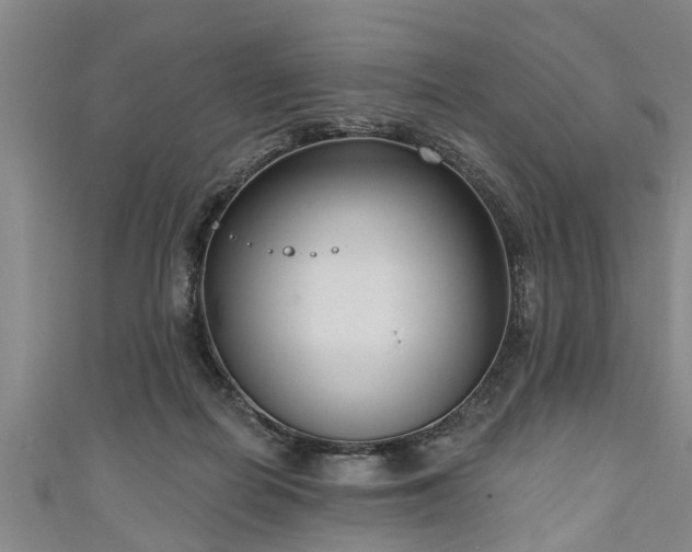 X0000111170266200907081221