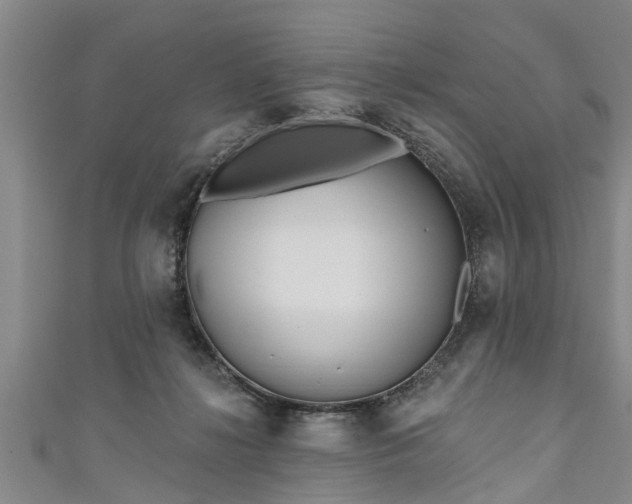 X0000111170268200907081221