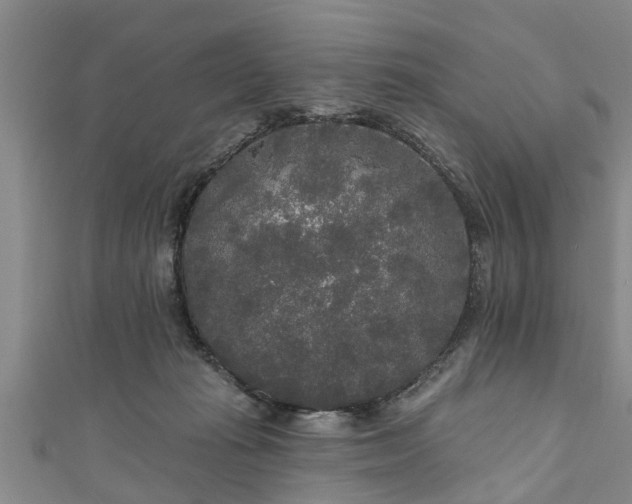 X0000111170269200907081221