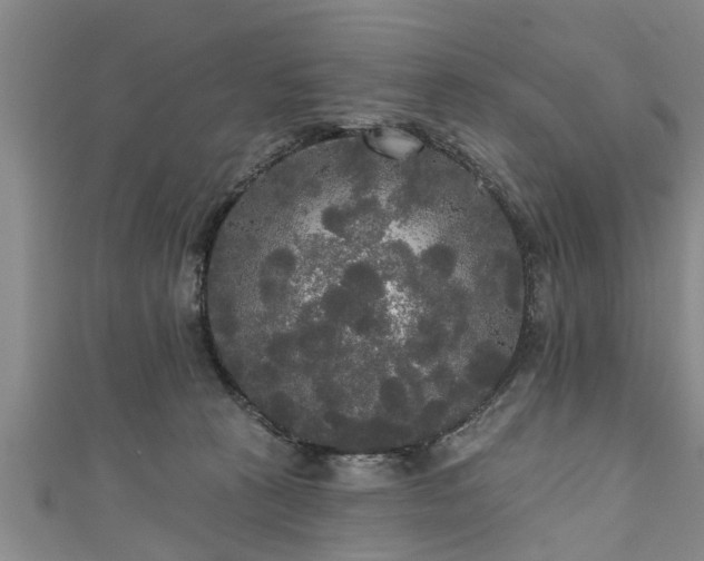 X0000111170273200907081221