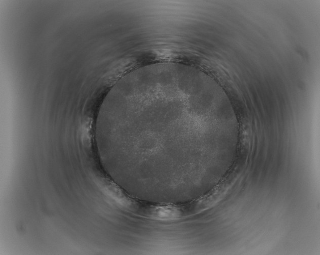 X0000111170275200907081221