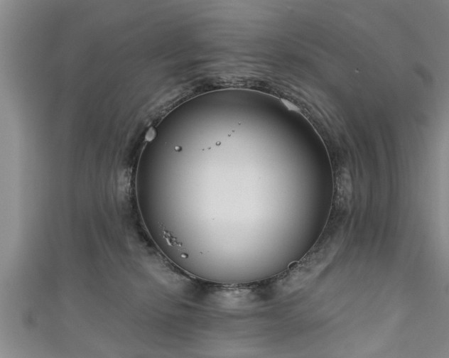 X0000111170278200907081221