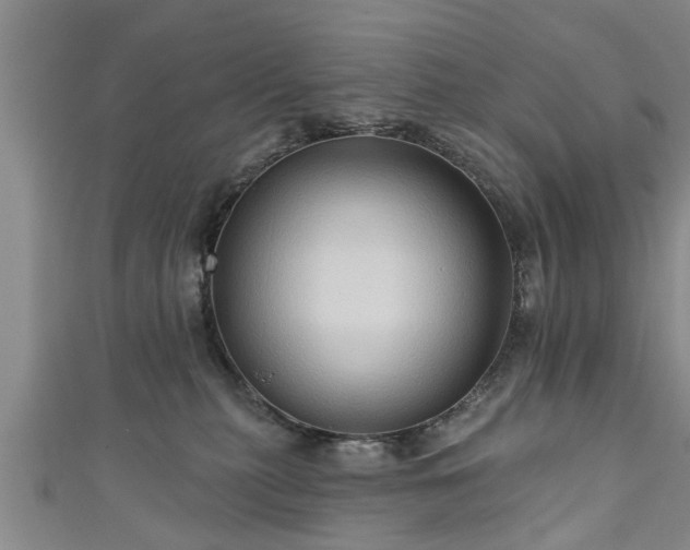 X0000111170279200907081221