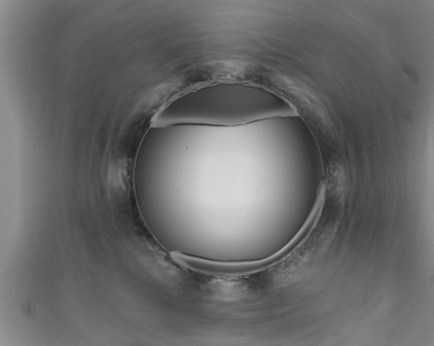 X0000111170280200907081221