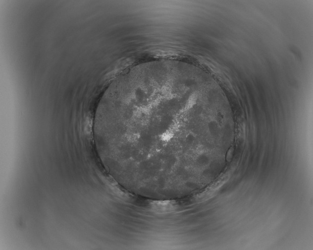 X0000111170281200907081221