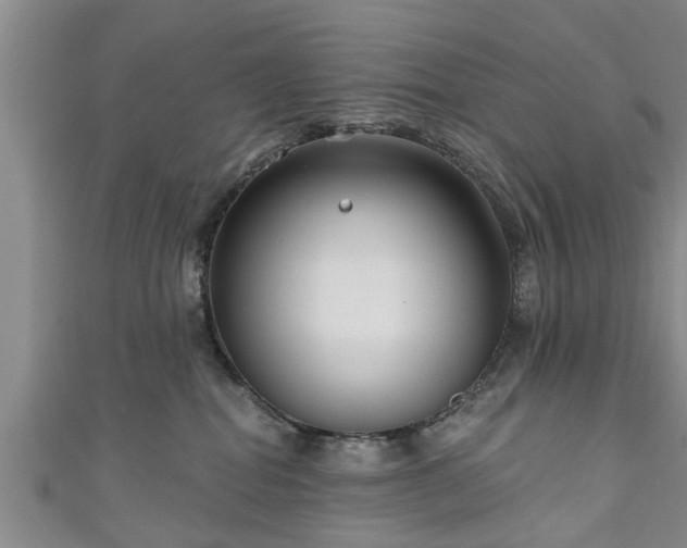 X0000111170282200907081221