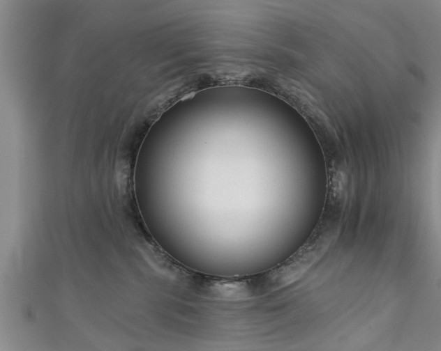 X0000111170283200907081221