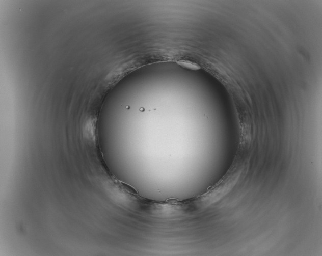 X0000111170286200907081221