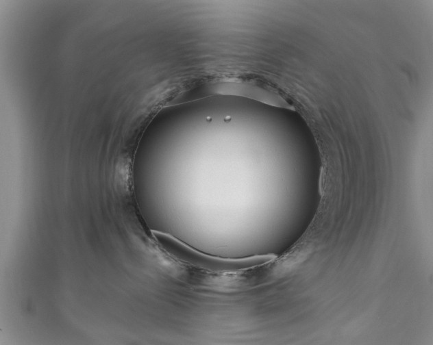 X0000111170288200907081221