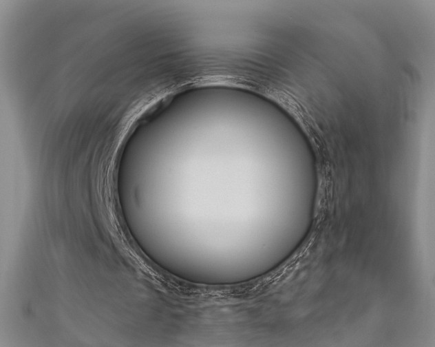 X0000111170289200907081220