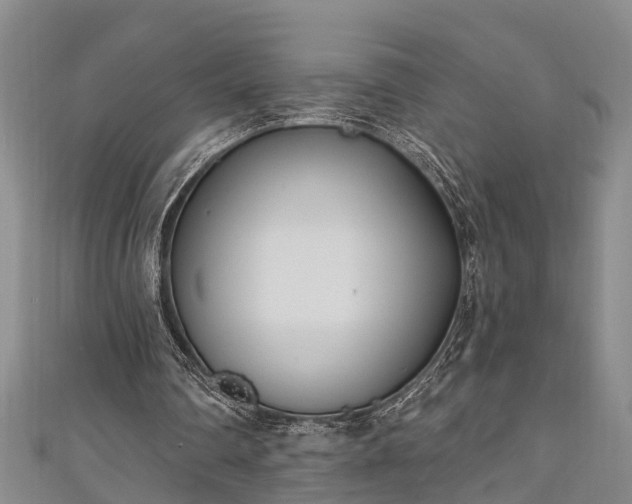 X0000111170290200907081220