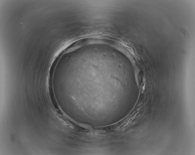 X0000111170292200907081220