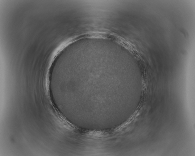 X0000111170294200907081220