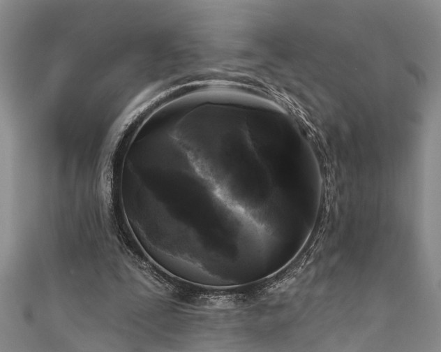 X0000111170295200907081220