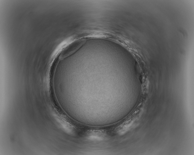 X0000111170296200907081220