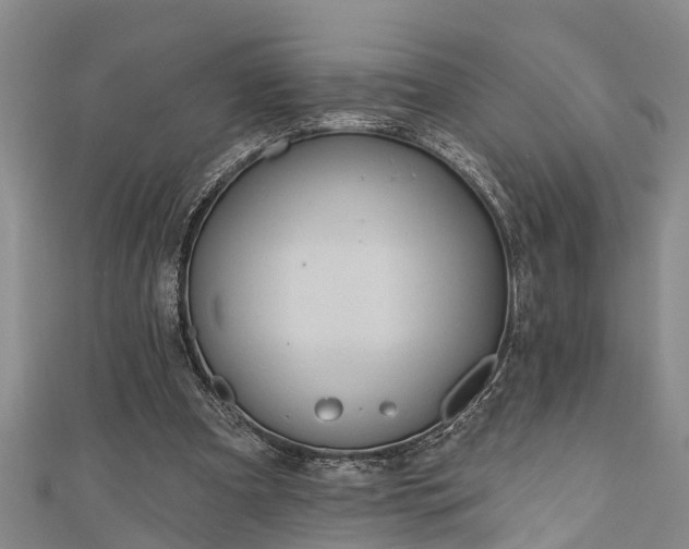 X0000111170297200907081220