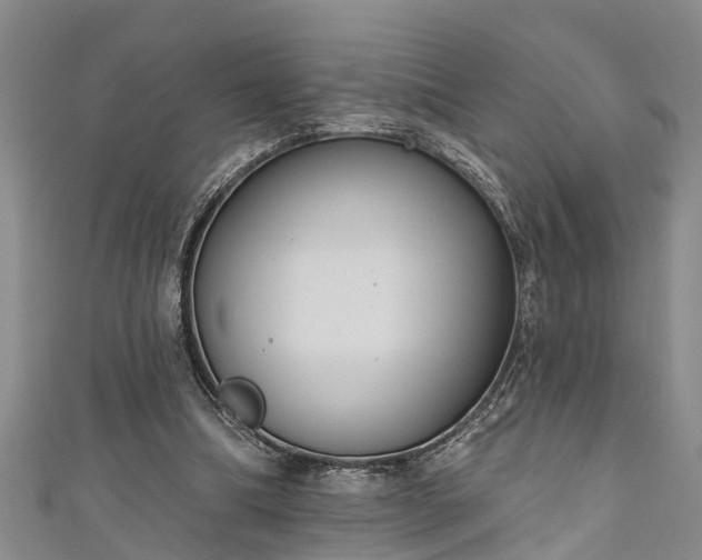 X0000111170298200907081220