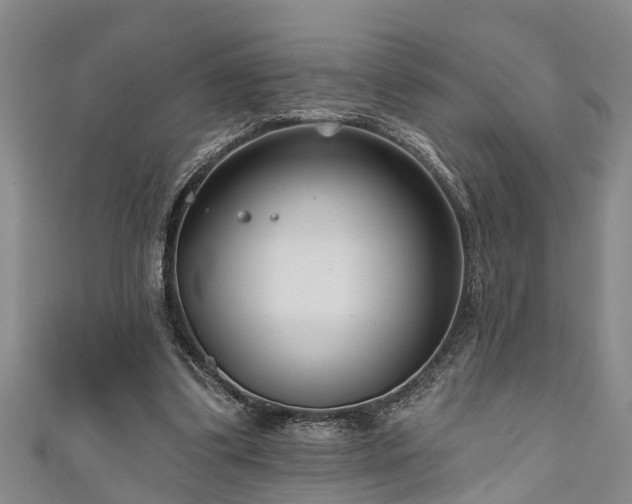 X0000111170299200907081220