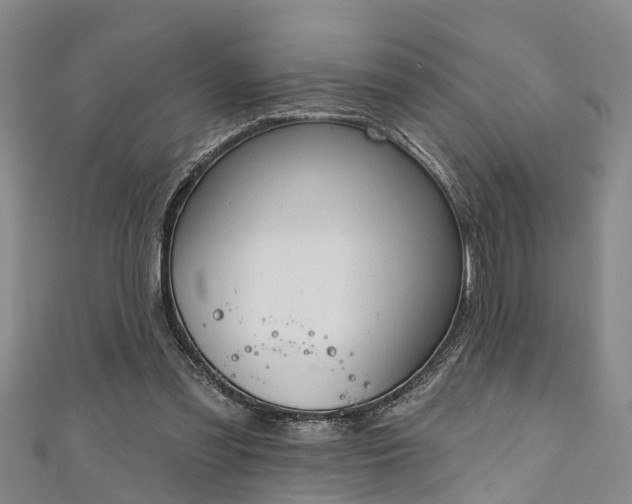 X0000111170301200907081220