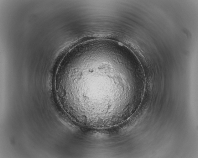 X0000111170303200907081220