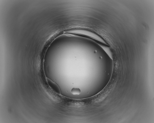 X0000111170304200907081220