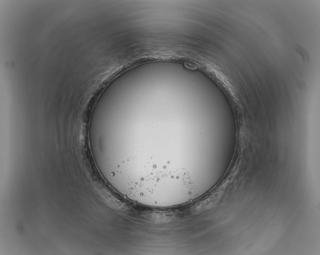 X0000111170305200907081220