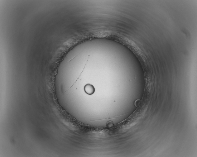 X0000111170307200907081220