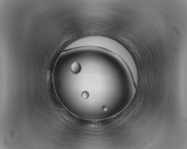 X0000111170308200907081220