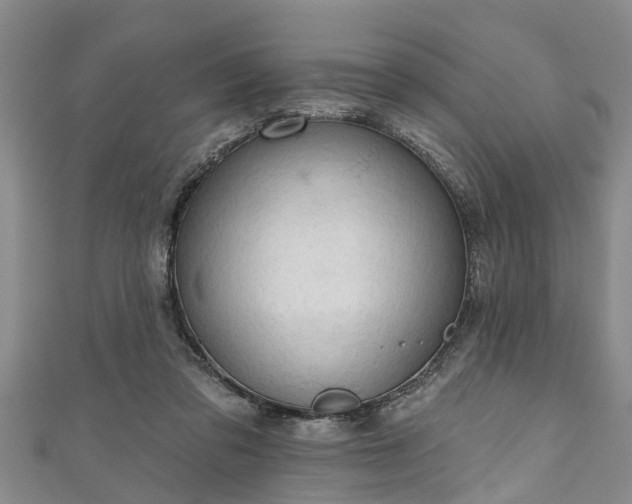 X0000111170309200907081220