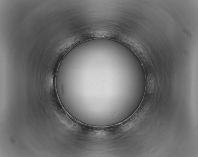 X0000111170310200907081220