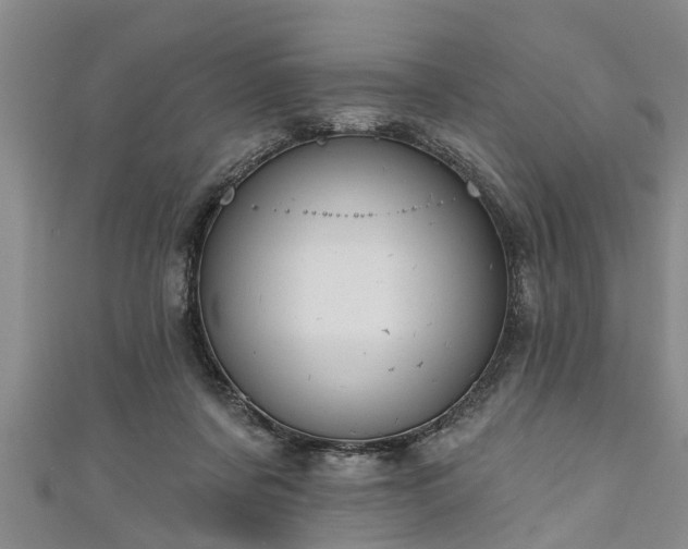 X0000111170311200907081220