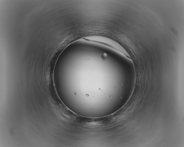 X0000111170312200907081220