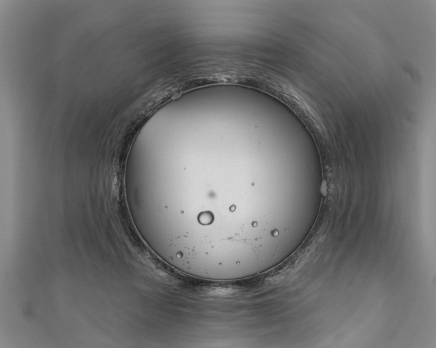 X0000111170313200907081220