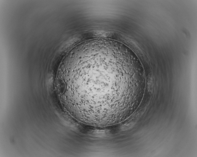 X0000111170314200907081220