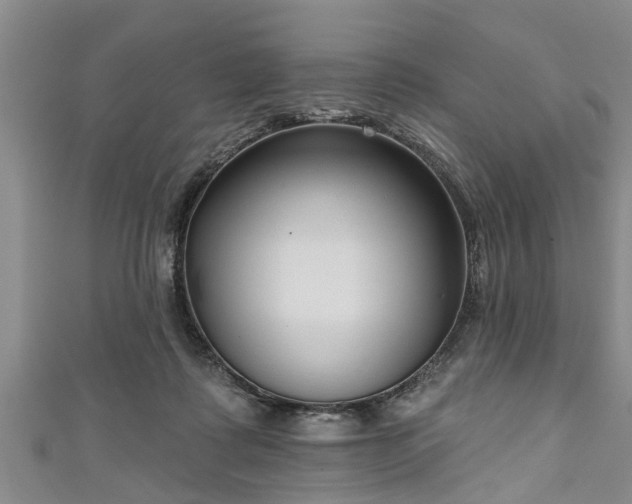 X0000111170315200907081220