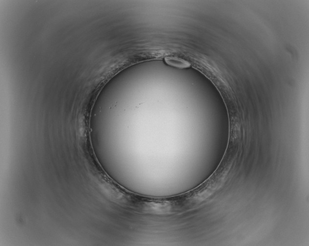 X0000111170317200907081220