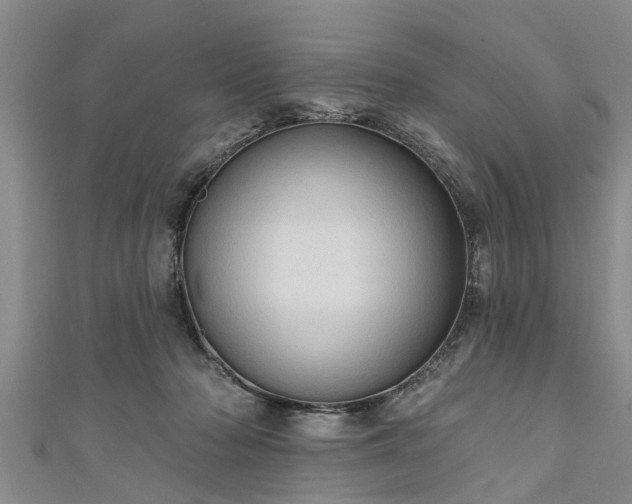 X0000111170318200907081220