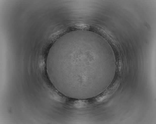 X0000111170320200907081220