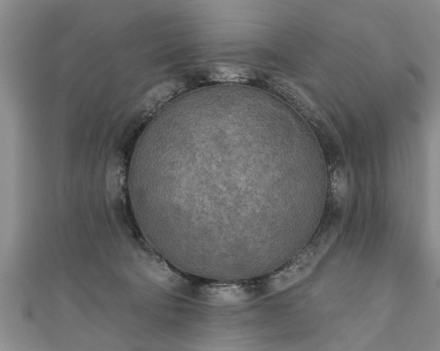 X0000111170322200907081220