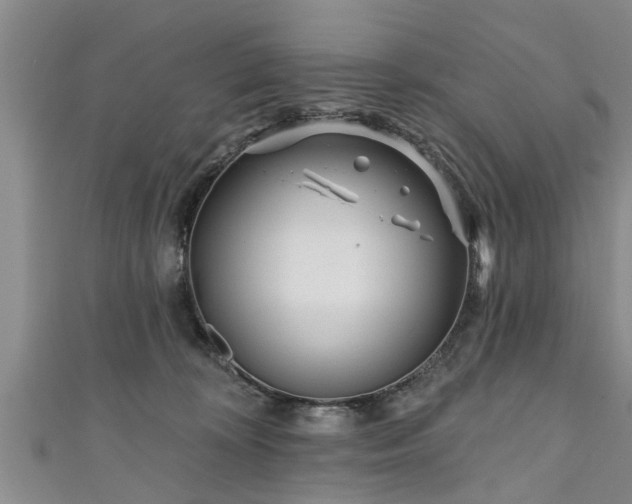 X0000111170324200907081220